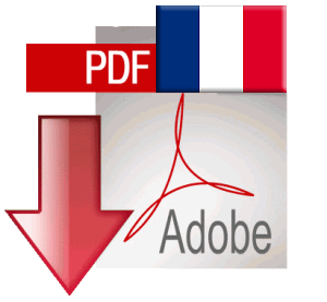 Download report in French